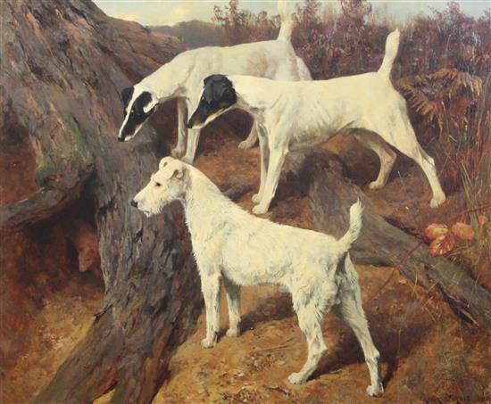 § Arthur Wardle R.I., R.B.C. (1864-1949) Fox terriers beside a warren: Top Mowbray Faith, Alport Frost and Ch.Ridgewood Imperialist 2